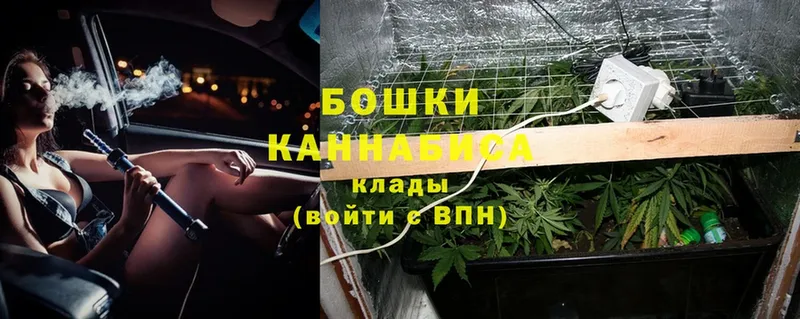 Шишки марихуана SATIVA & INDICA  Ивдель 